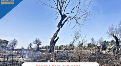 Dichiarazione di grave pericolosità per gli incendi boschivi in Puglia – 2023